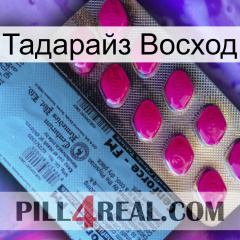 Тадарайз Восход 35